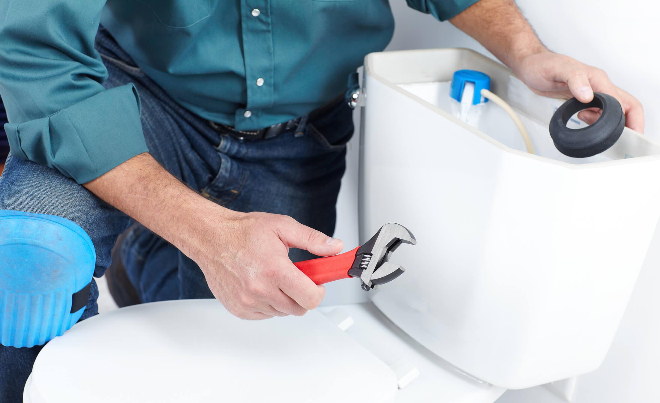 Toilet Repair