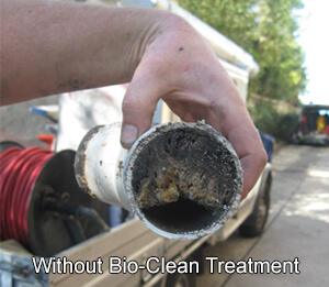 How Bio-Clean Works